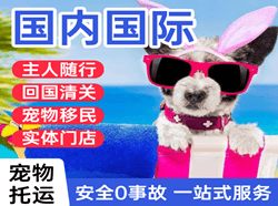 江北机场托运国际宠物托运 【国